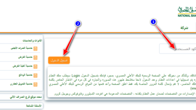 البنك الأهلي المصري نت للافراد الصفحة الرئيسية