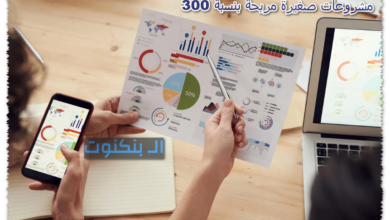 مشروعات صغيرة مربحة بنسبة 300