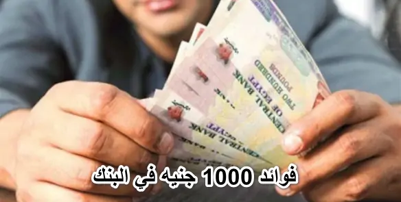 فوائد 1000 جنيه في البنك