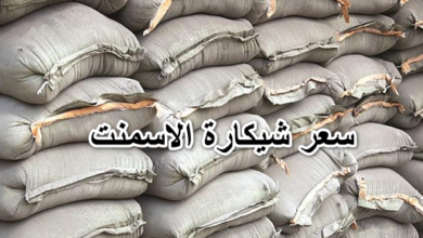 سعر شيكارة الاسمنت