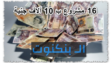 16 مشروع ب 10 آلاف جنية