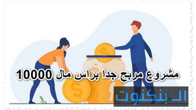 11 مشروع مربح جدا براس مال 10000