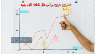 مشروع مربح براس مال 100 الف جنيه